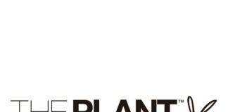 Interview With An Owner: The Plant Cafe The Plant Cafe Organic logo