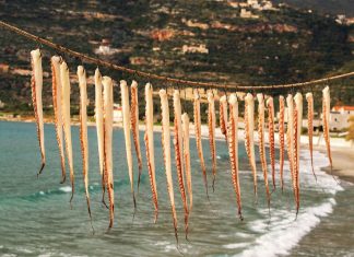 the Greek cuisine