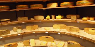 Cheeselover's Guide