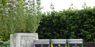 Greek olive oil - Evonymon
