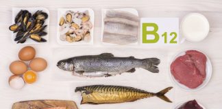 Top foods rich in b12