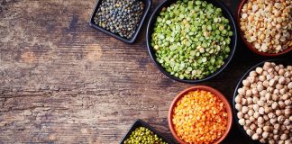 plant-based protein