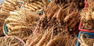 ginseng benefits