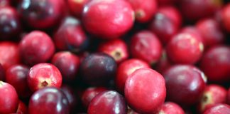 Health Benefits Of Cranberries Health benefits of cranberries