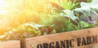organic farming