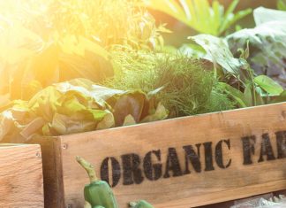 organic farming