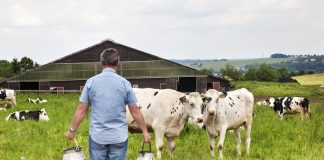 Dairy industry
